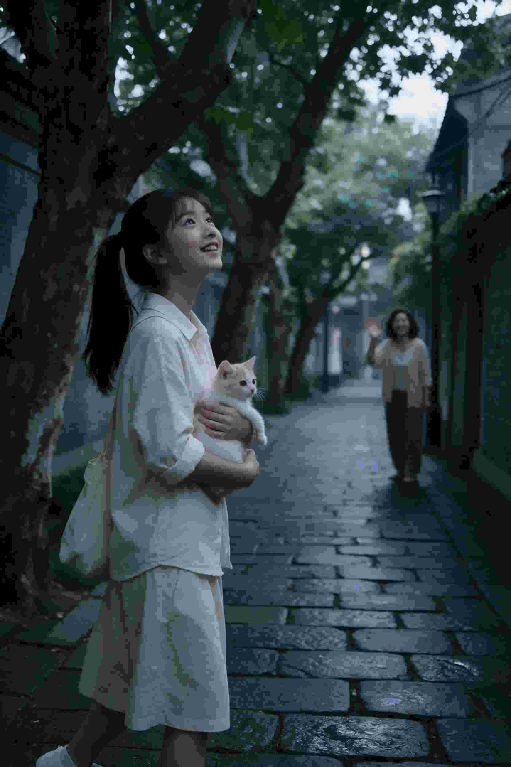千年之约